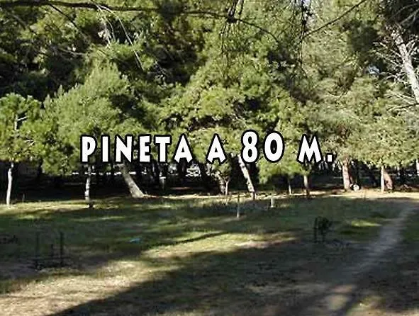 Solemare 3* Montesilvano Marina